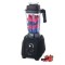 230718  Blender de 1500 W